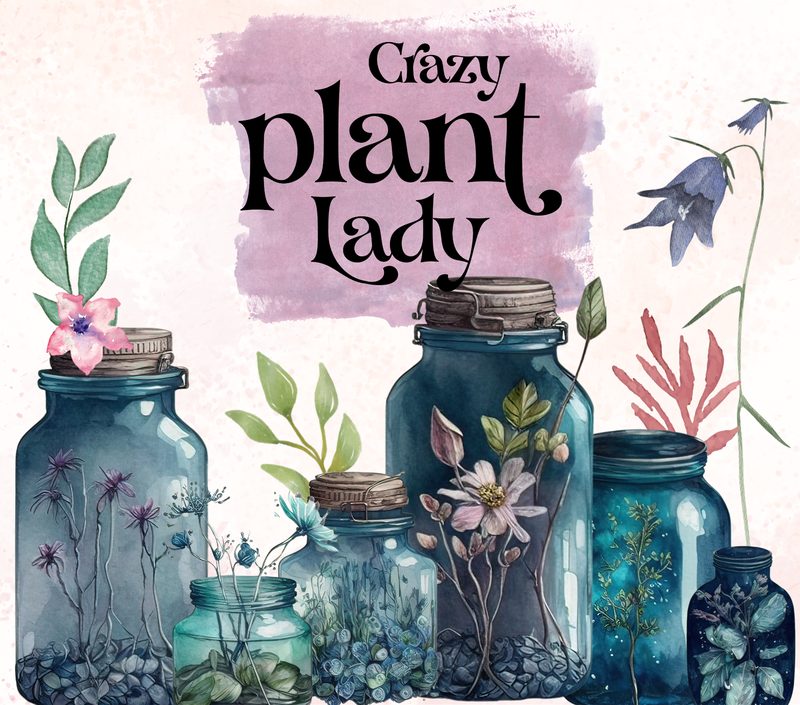 Flowers / Plants